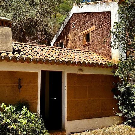 Casas Da Cerca Guest House Troviscais Ngoại thất bức ảnh