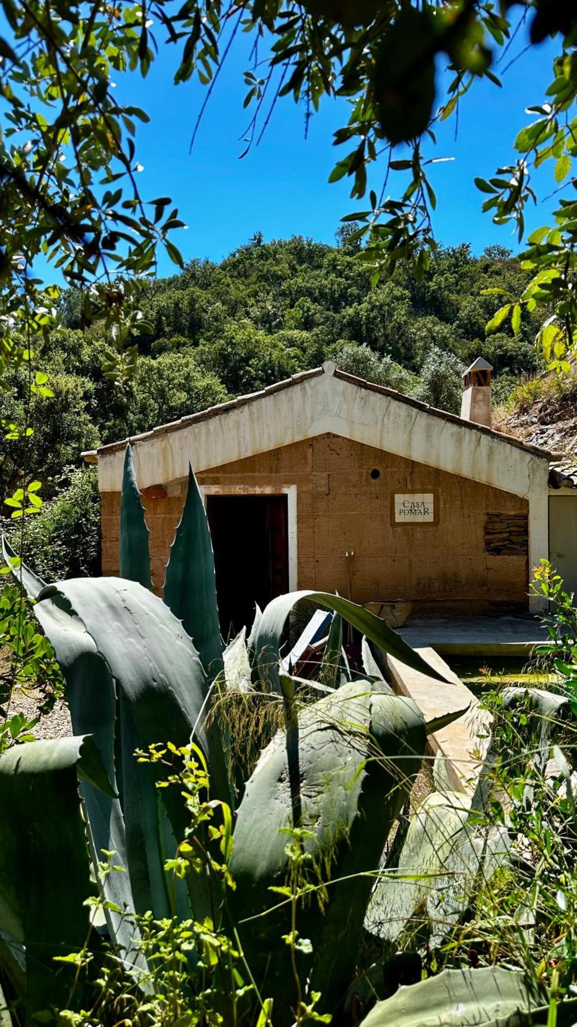 Casas Da Cerca Guest House Troviscais Ngoại thất bức ảnh